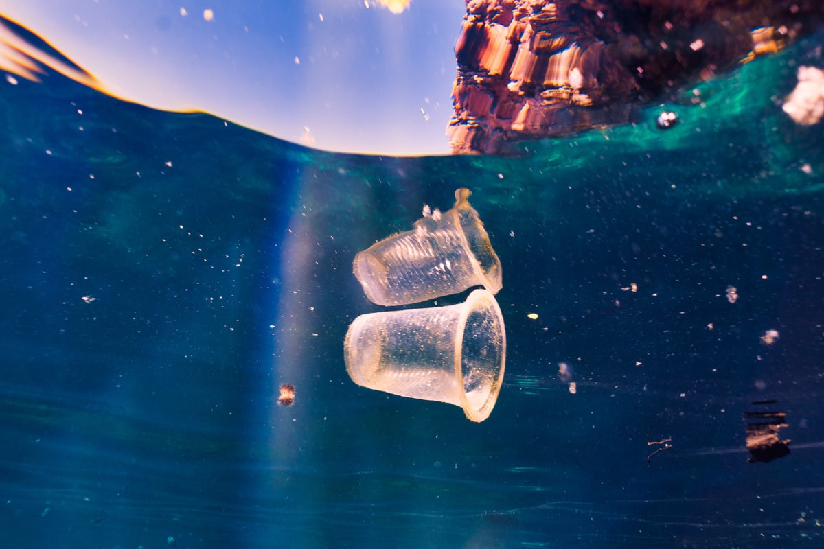 Environmental Issue underwater image of plastic pollution in the Ocean garbage patch